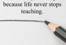 Photo of Никогда не переставай учиться