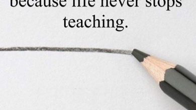Photo of Никогда не переставай учиться