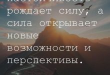Photo of Сила в настойчивости