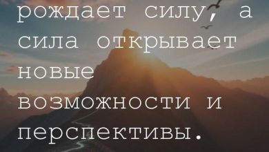 Photo of Сила в настойчивости
