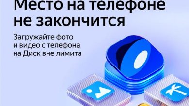 Photo of Развивайся каждый день