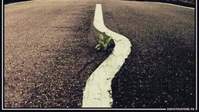 Photo of Смело иди к своей цели