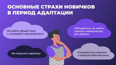 Photo of Успешная адаптация: секреты и советы