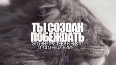 Photo of Мотивация к победе